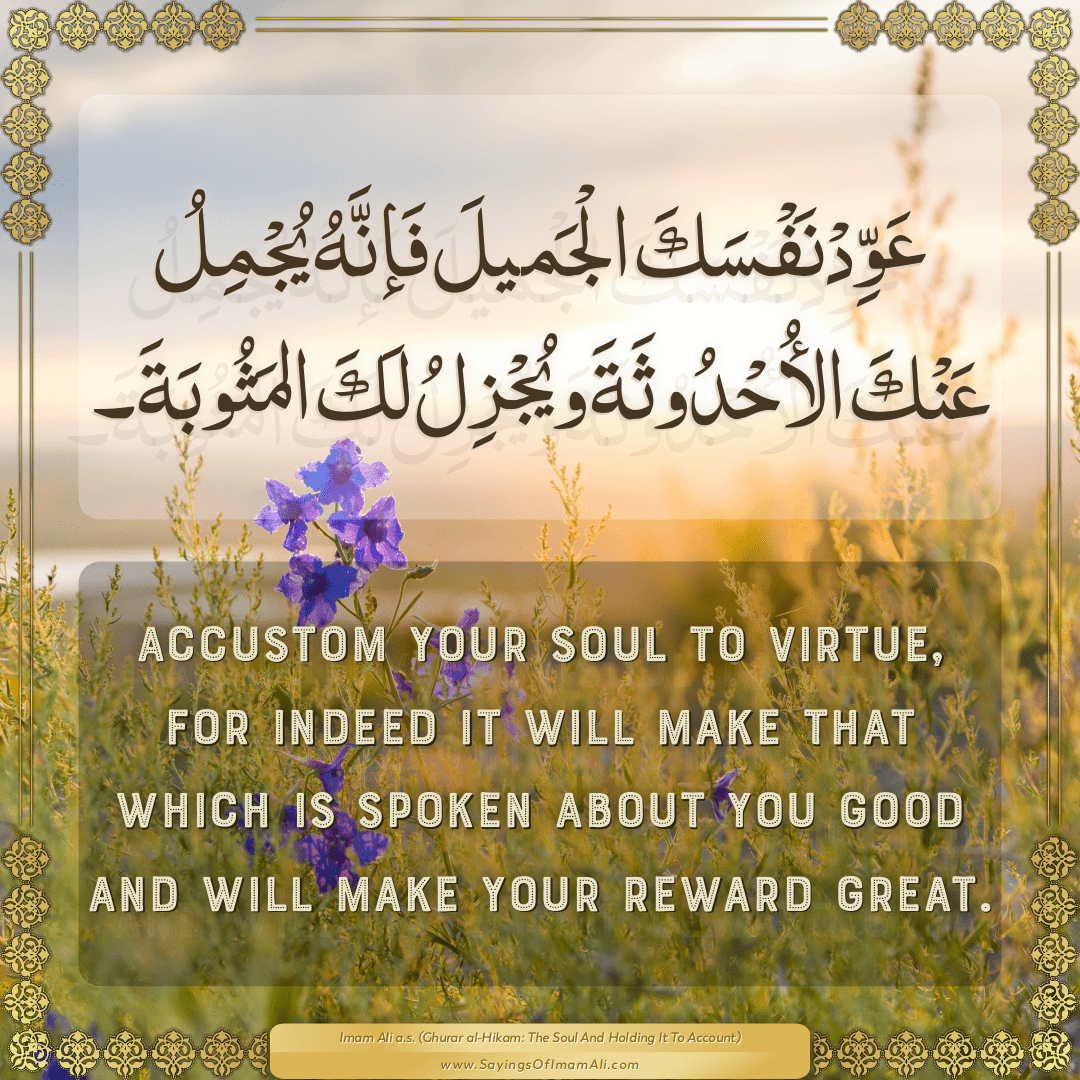 Accustom your soul to virtue, for indeed it will make that which is spoken...